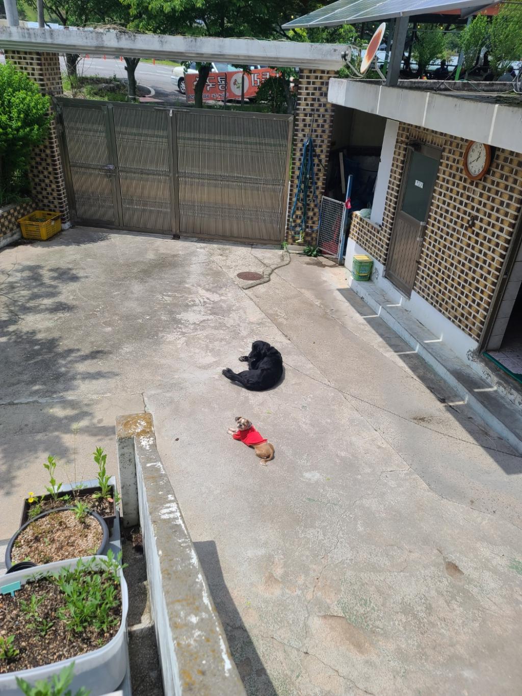 한낮의 평화로움