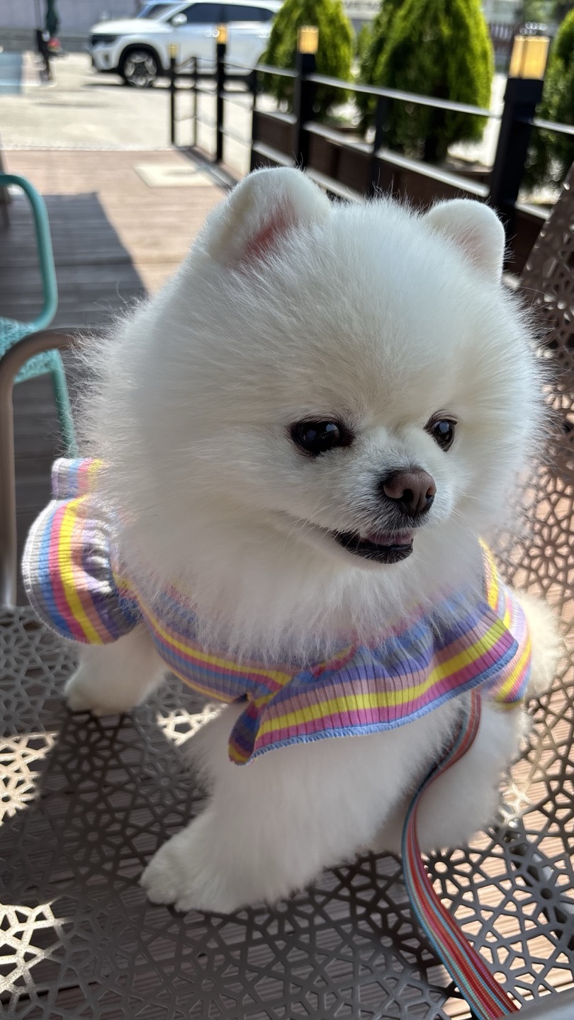 목욕후 산책~~