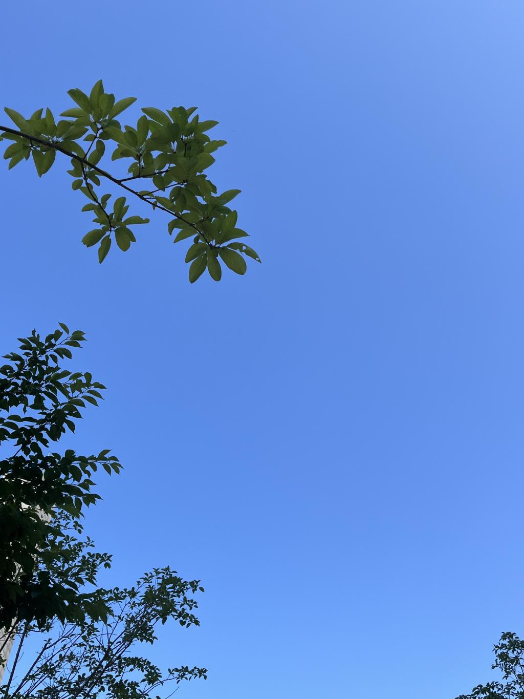 날씨~