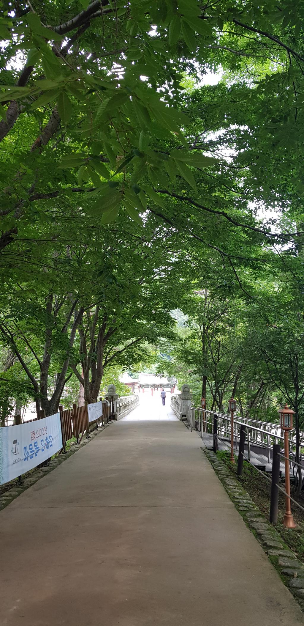 요즘 인제가 좋더라~~