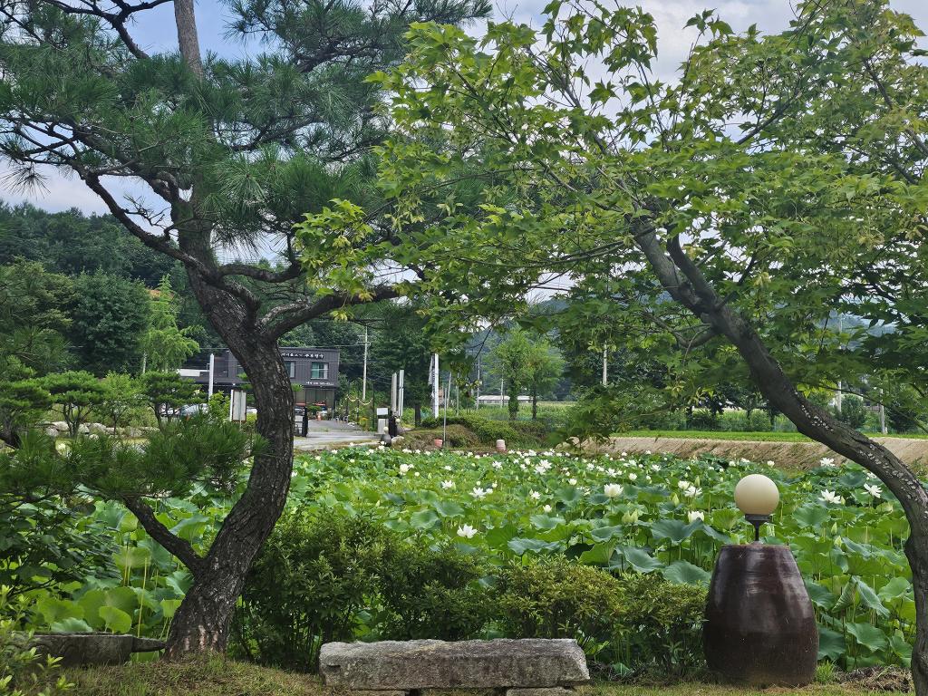 기억찿기
