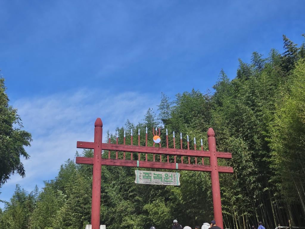 담양 죽녹원