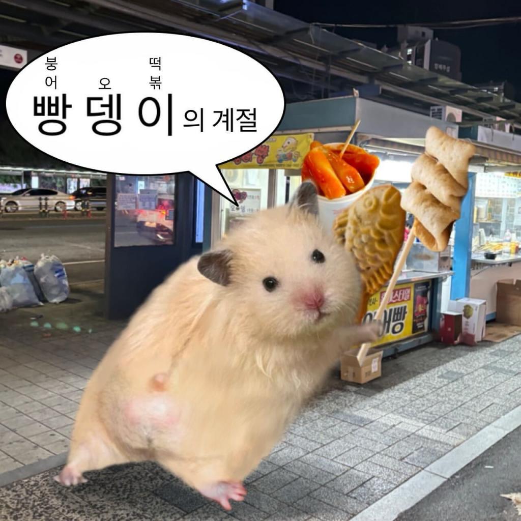 붕어빵 먹고싶다