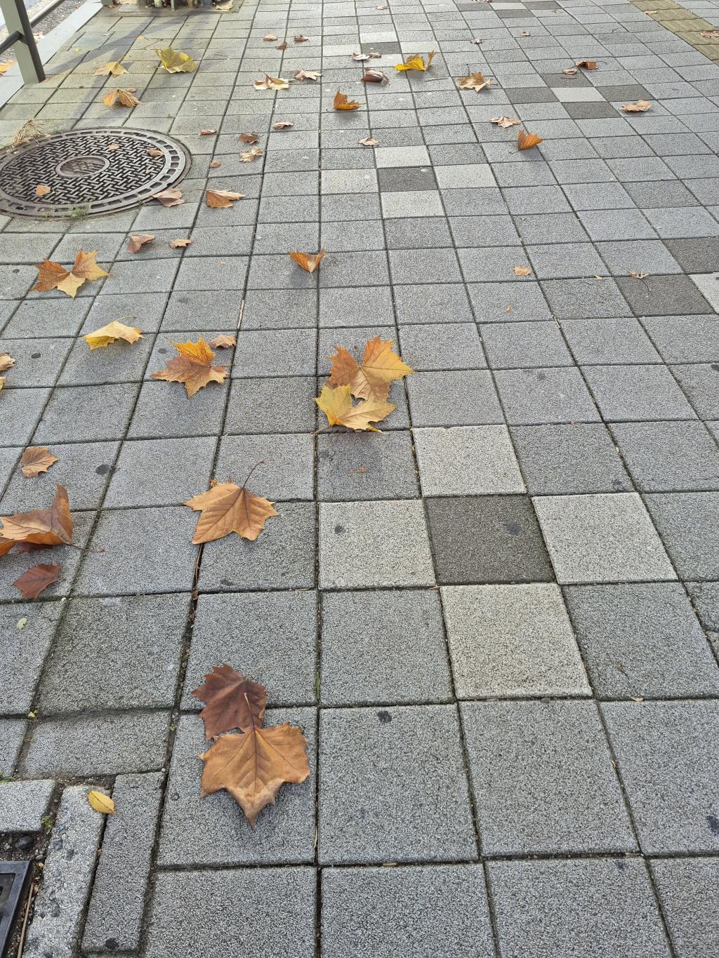 가을