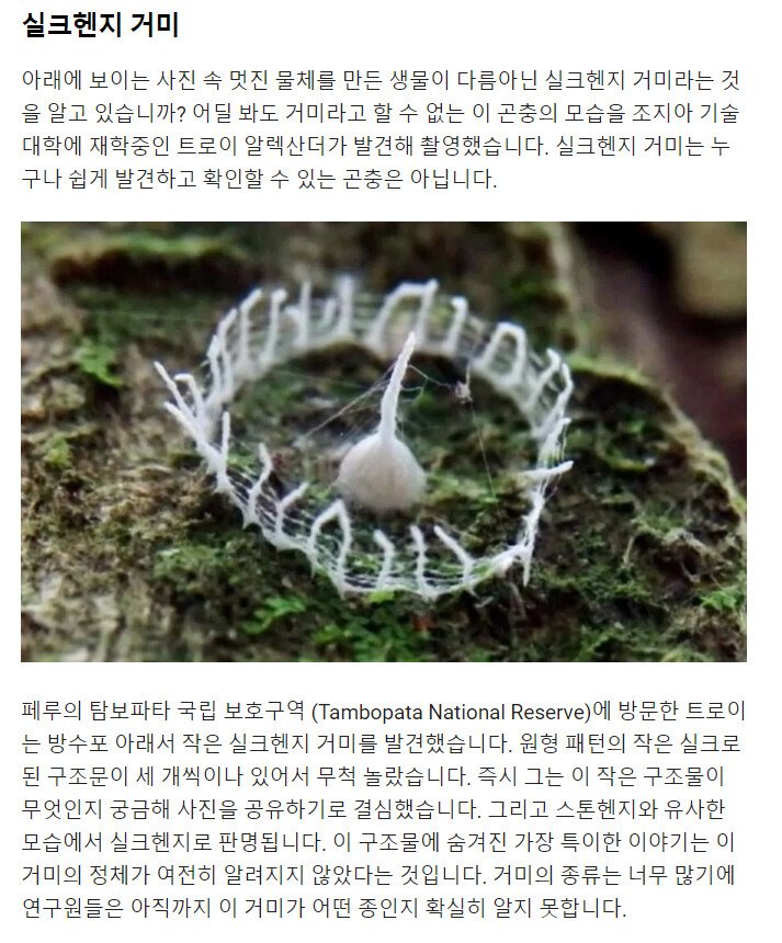 자연이 만든 경이로운 구조물 - 실크헨지