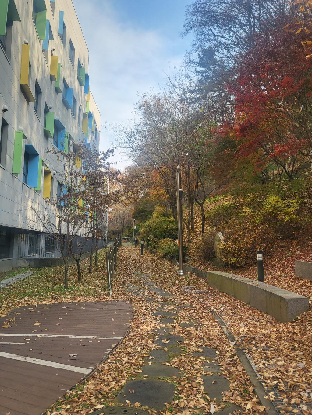 가을 끝!!