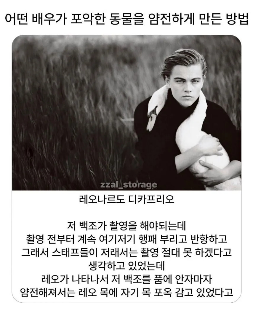 꾸루무가 나를 한심하다는 듯이 바라본 이유가 설마