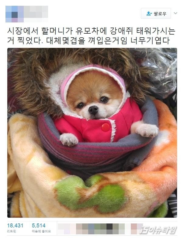 함무니 나 코시린디