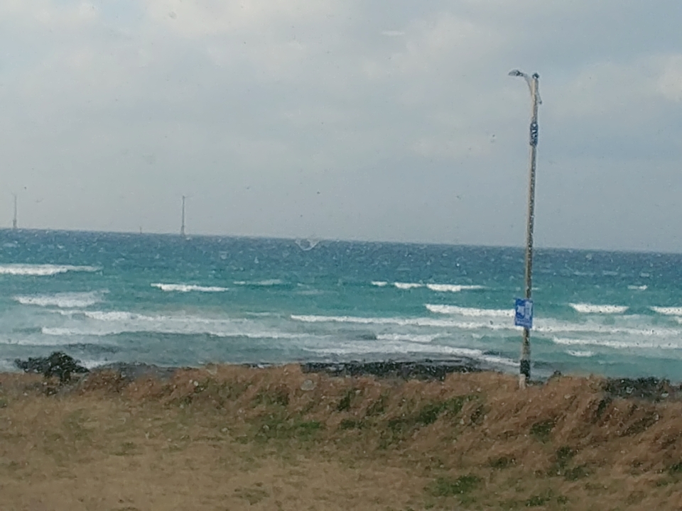 겨울제주도