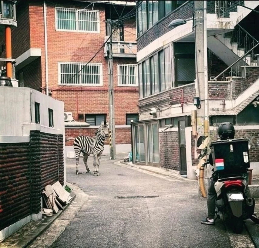 아직도 보자마자 웃기는 사진 ㄷ.gif