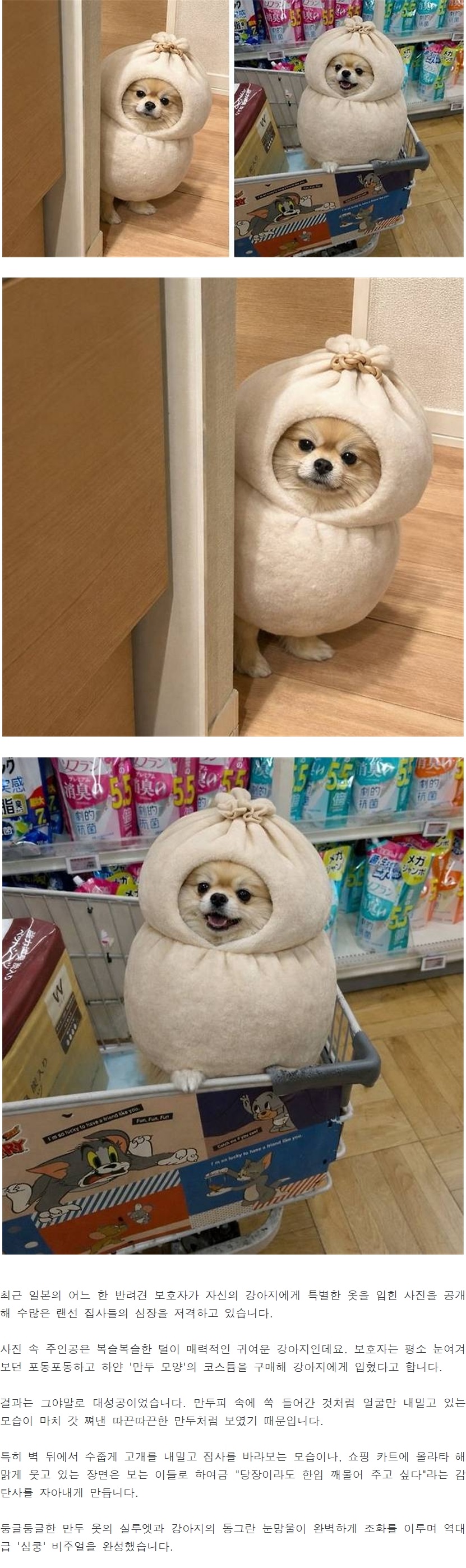 마트에서는 안파는 만두