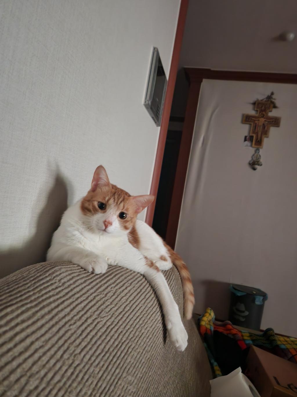 경치