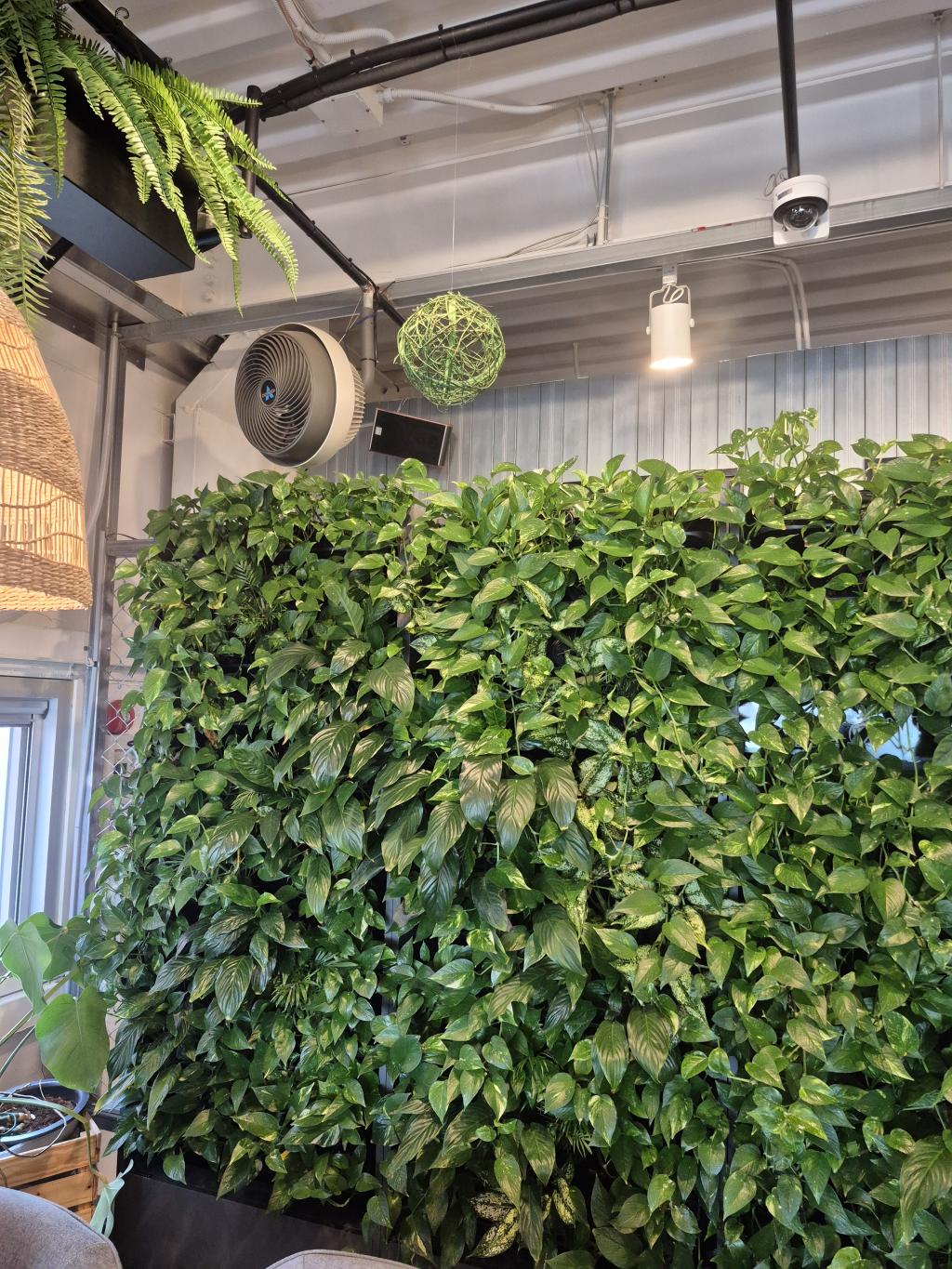 수직수경